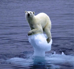 Global-Warming-Kills-Polar-Bear